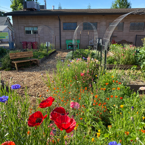 garden-2