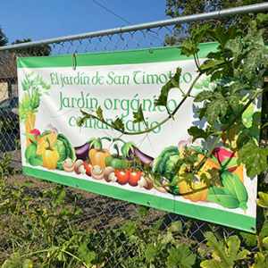 garden-9